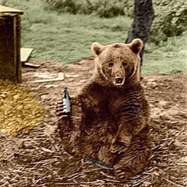 Wojtek and beer
