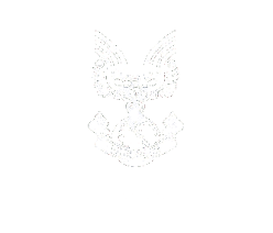 UNSC Symbol