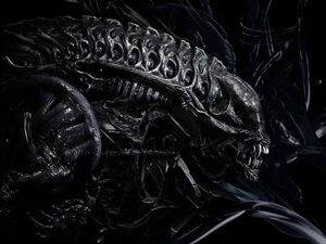 Alien-1-
