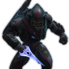 342px-ReachSangheili
