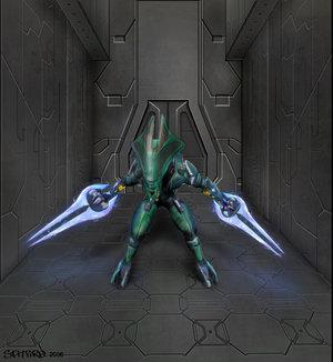 1906385-elite super