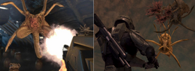 Flood - Comparison