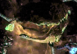 Gravemind
