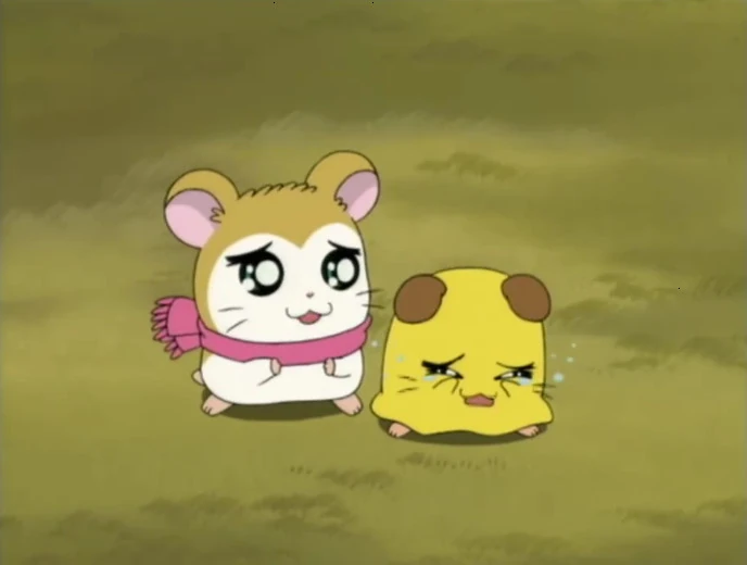 The New Year's Kite Adventure The Hamtaro Wiki FANDOM powered by Wikia