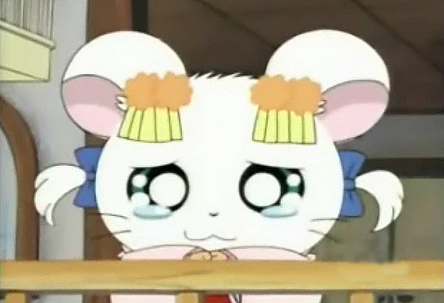 bijou hamtaro bijou hamtaro