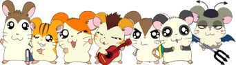 My hams