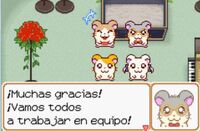GafitasBromitas