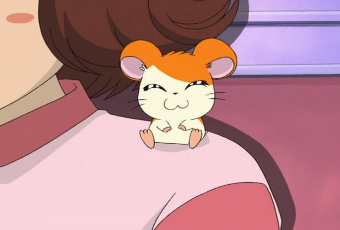 Image Tottokokeiko 33png The Hamtaro Wiki Fandom Powered By Wikia 