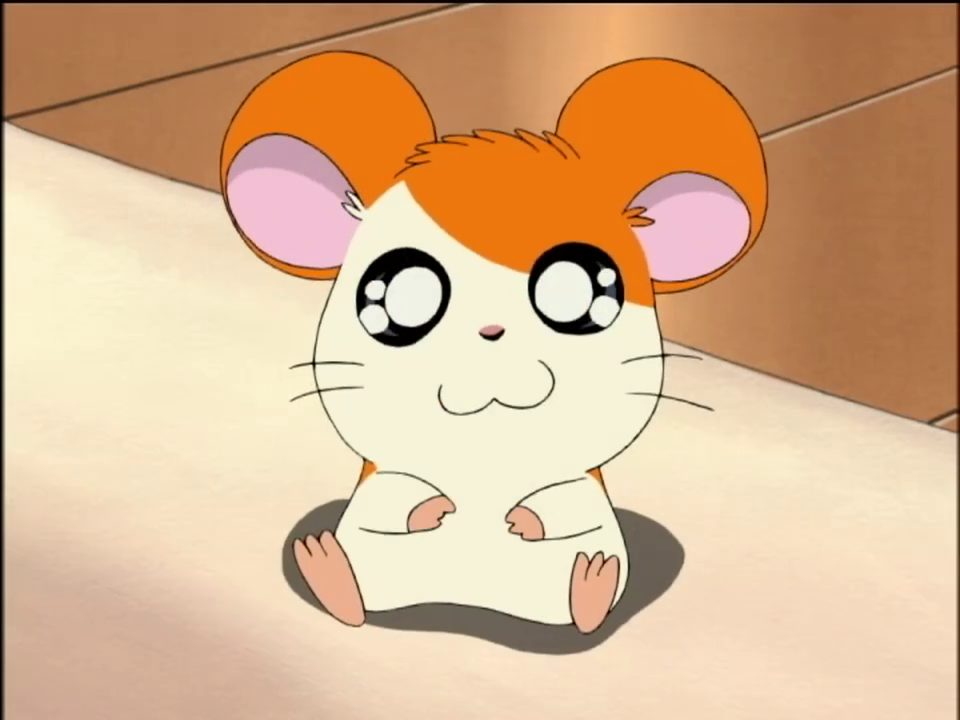 Category:Episode Gallery | The Hamtaro Wiki | FANDOM powered by Wikia