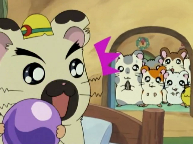 Image 25115png The Hamtaro Wiki Fandom Powered By Wikia 