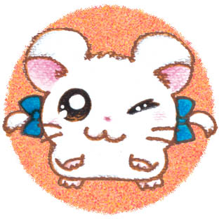 bijou hamtaro bijou hamtaro