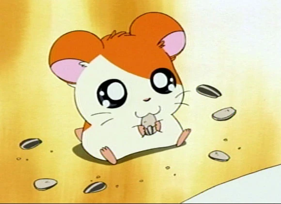 Resultado de imagen para hamtaro