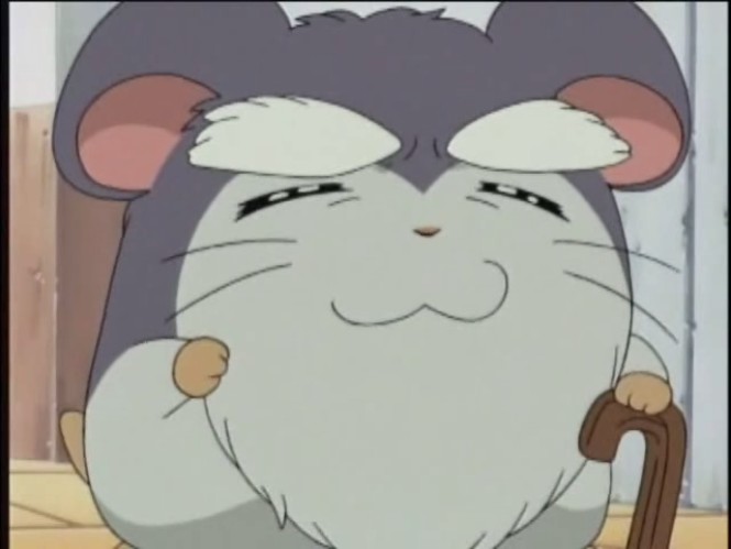 Image - Bscap0191.jpg | The Hamtaro Wiki | FANDOM powered by Wikia