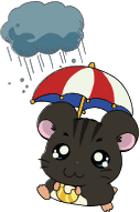 Drizzle