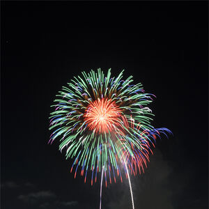 市川市民納涼花火大会 花火 Wiki Fandom