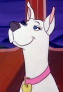 Dee