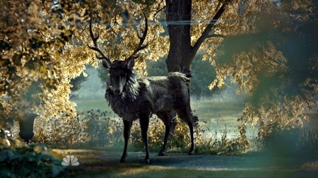 The Stag (TV) | Hannibal Wiki | Fandom