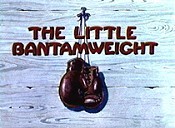 Little bantamweight