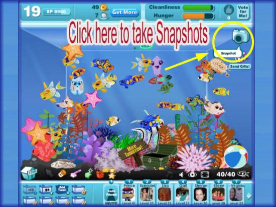 Aquarium Aquarium