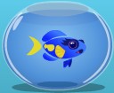 Yellowtaildamselfish