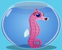 Seahorse