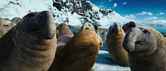 Elephant Seal Happy Feet Wiki Fandom
