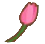 Tulip-0-0