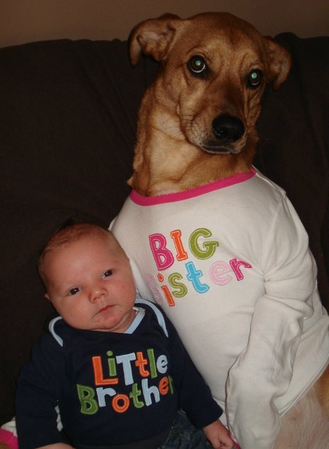 Photo for funny baby with dog