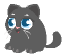Grey Cat 2