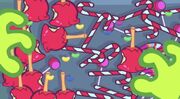 Candy Clothes