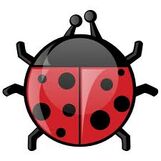 Ladybug2244