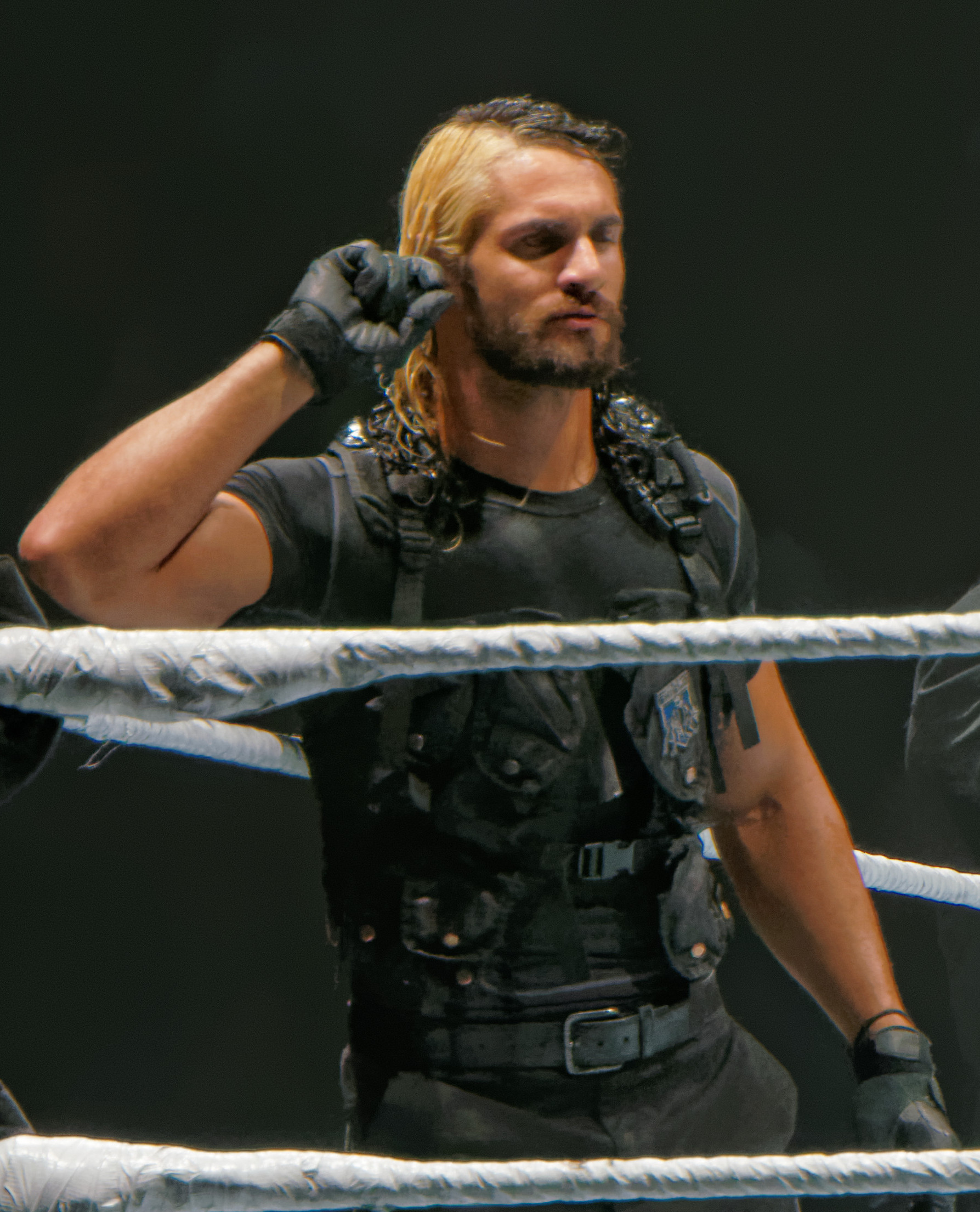 Seth Rollins | HCW Wiki | FANDOM powered by Wikia