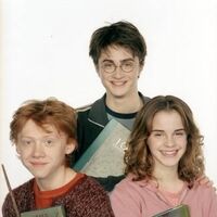 Trio Harry Potter Wiki Fandom