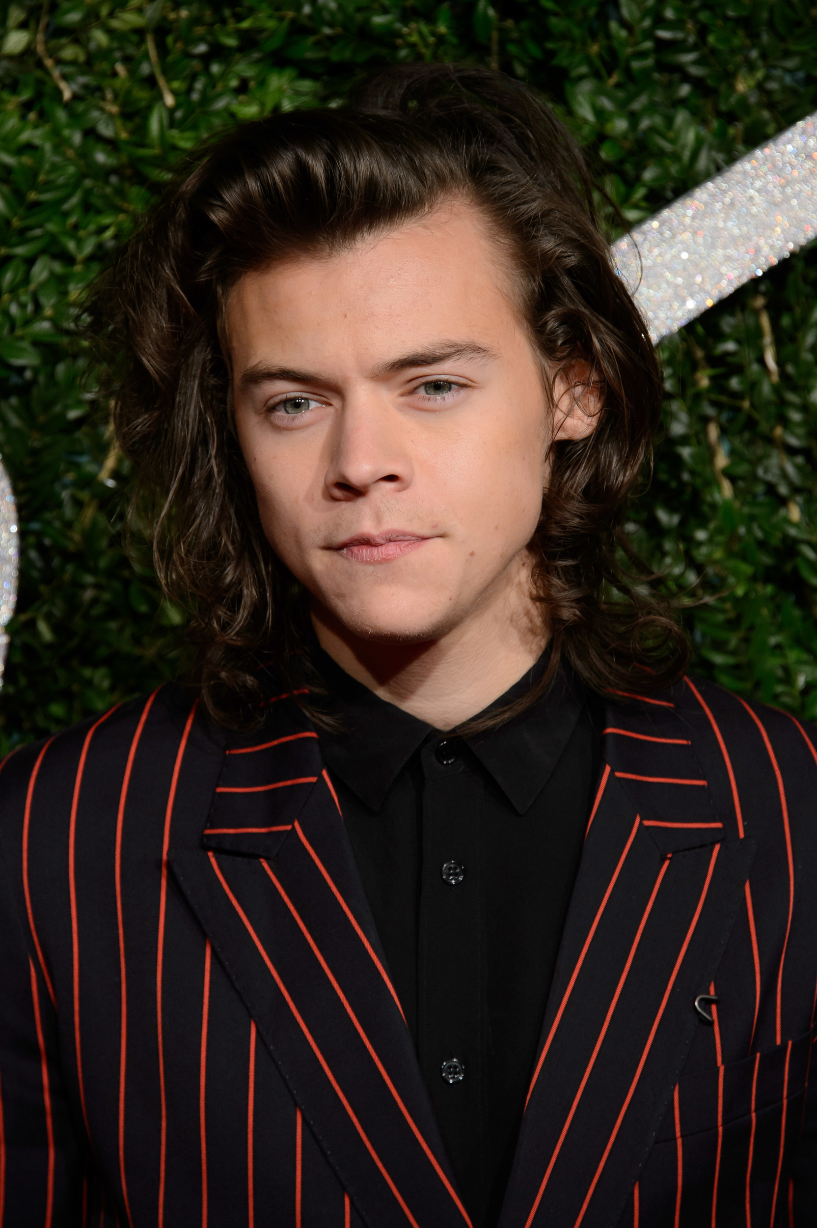 Image Harry british 2014.jpg Harry Styles Wiki FANDOM powered by