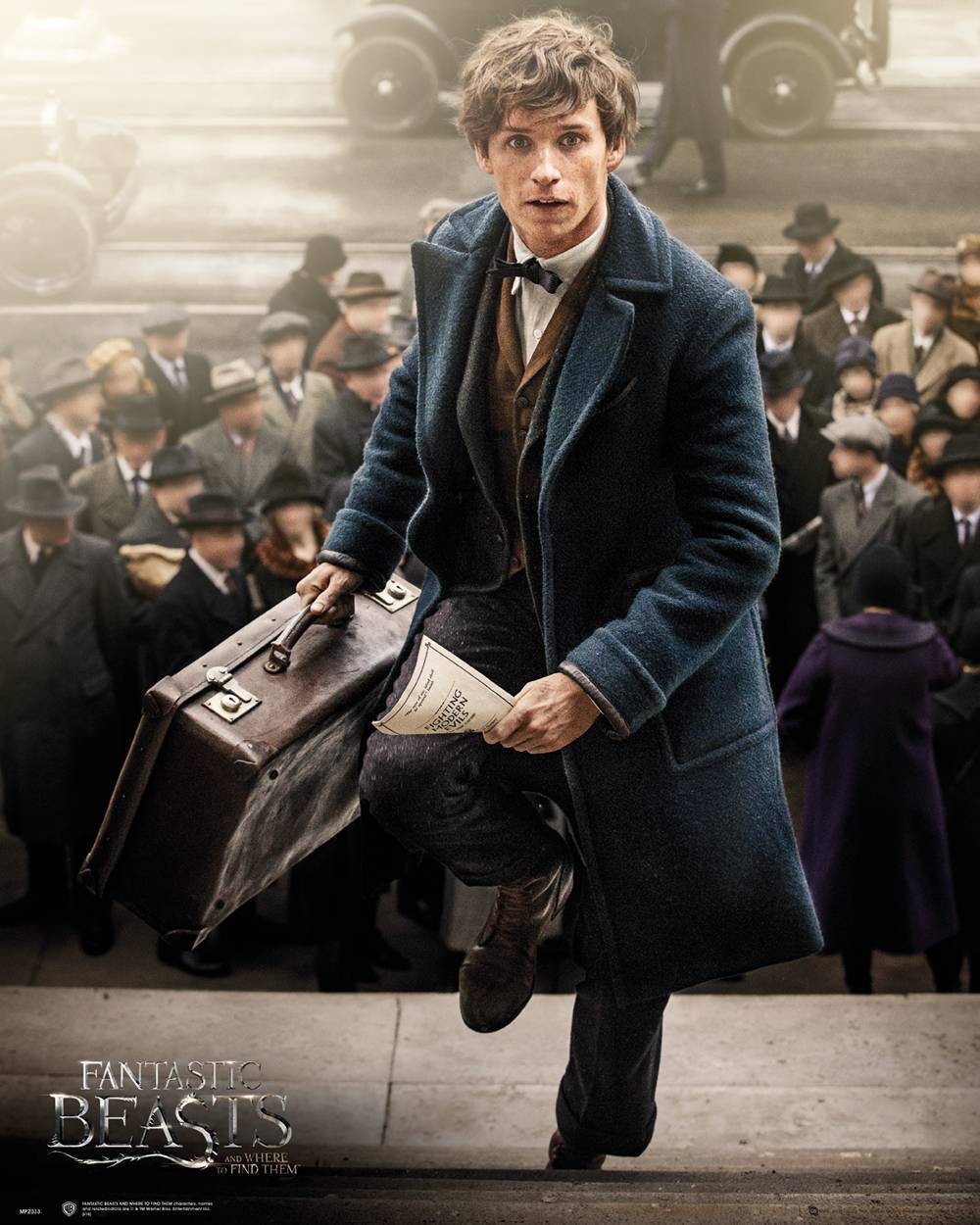 Newt Scamander Harry/Albus Potter Wiki Fandom