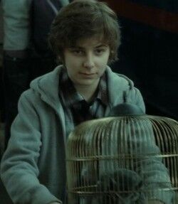 Image result for james sirius potter"