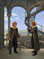 Hufflepuffs