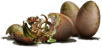 Hatching of a Common Welsh Green