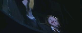 Ginny i dziennik