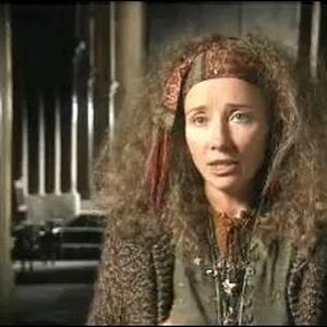 Sybill Trelawney Harry Potter Wiki Fandom