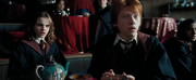 Ron And Hermione In Divination