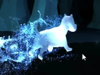 West Highland Terrir Patronus