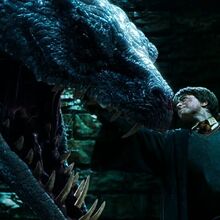 Bazyliszek Harry Potter Wiki Fandom