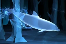Dolphin Patronus