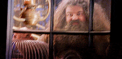 Hagrid offrant Hedwige