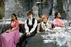 Harry i Ron z partnerkami