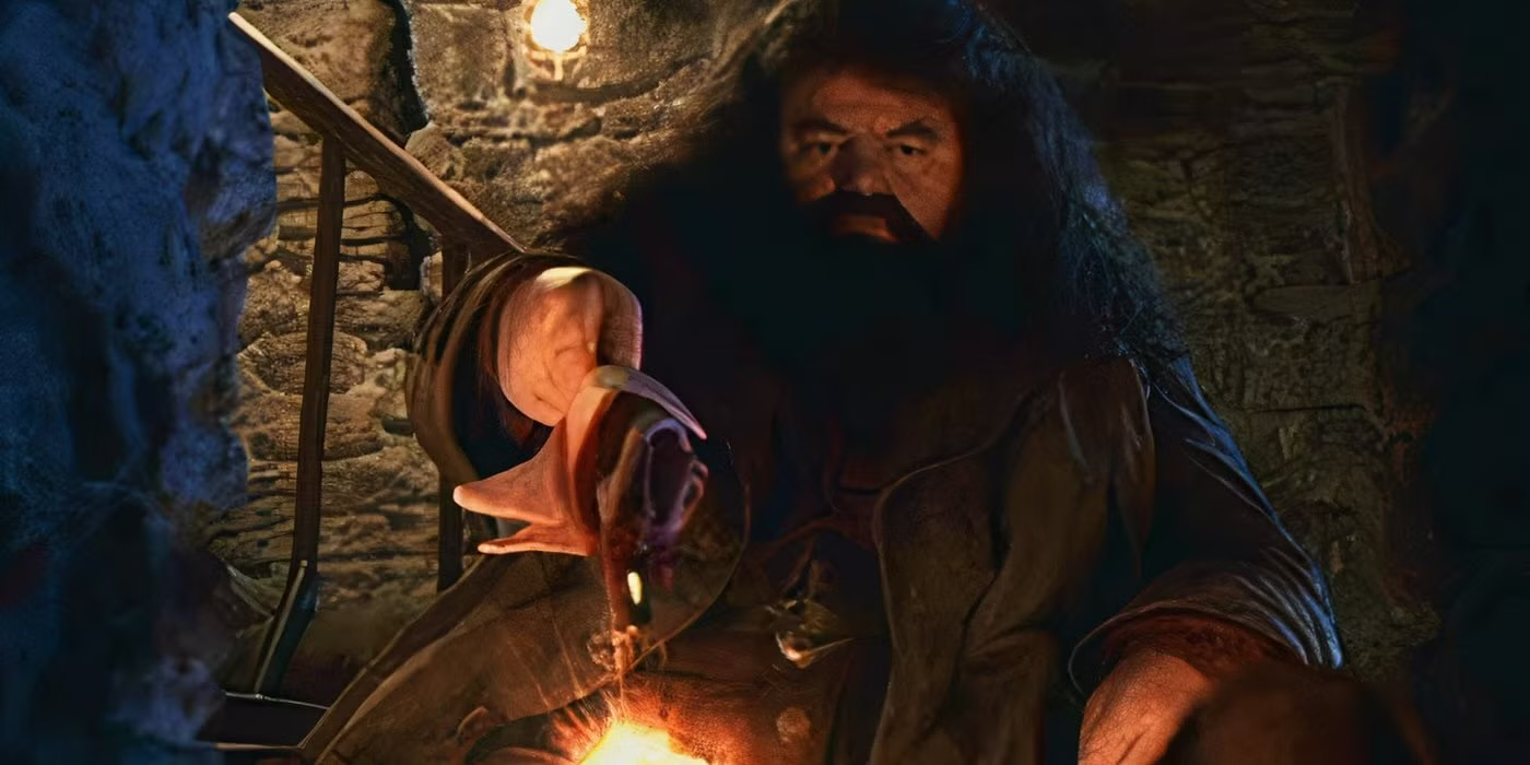 Rubeus Hagrids Wand Harry Potter Wiki Fandom Powered By Wikia