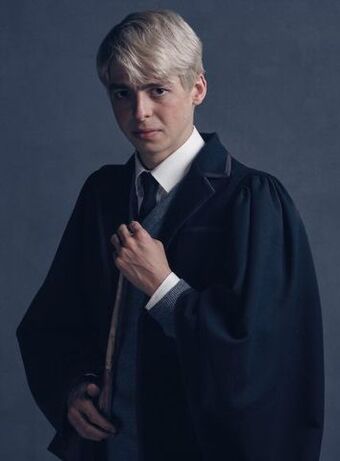 Die Paare Der Harry Potter Welt One Shoot Spezial 8 Tausend