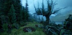 Whompingwillow