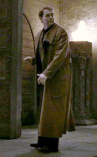 Auror Wiki Harry Potter Fandom